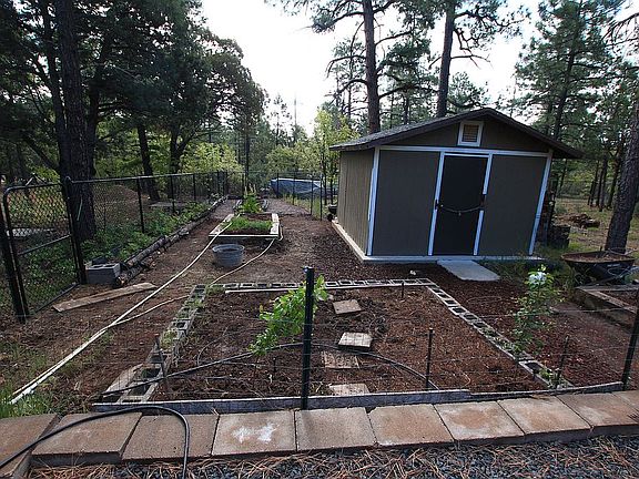 Large framed Garden shed