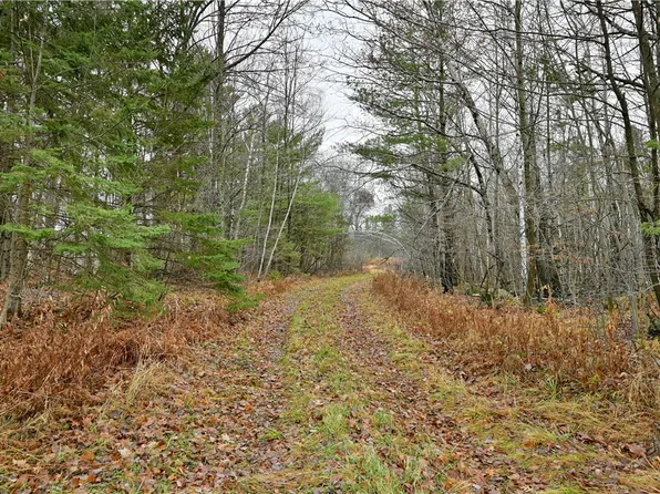 80 acres County Highway C, Exeland, WI 54835