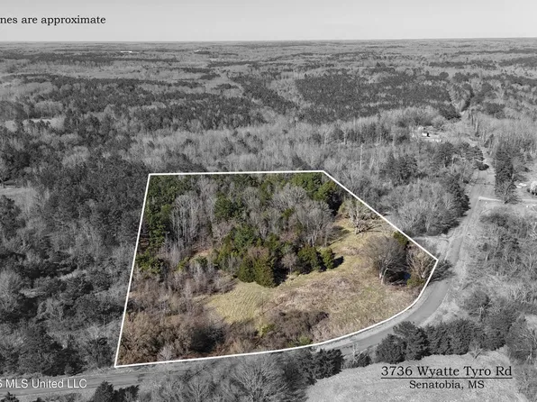 3736 Wyatte Tyro Rd, Senatobia, MS 38668