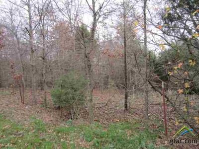 0 County Road 3270, Winnsboro, TX, 75494