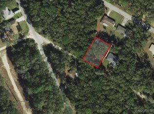 3397 E Alex Pl, Inverness, FL 34453