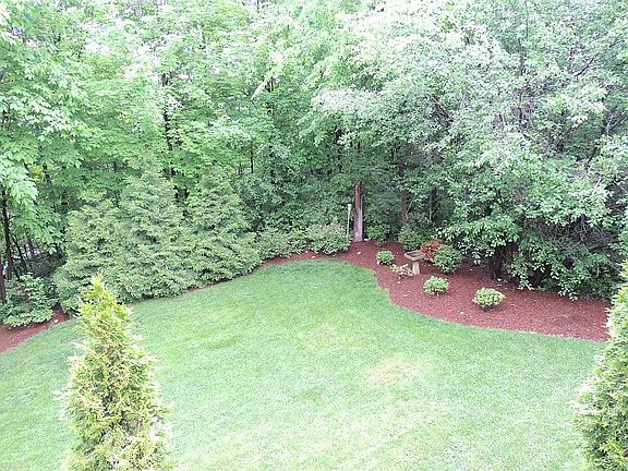 Gorgeous backyard