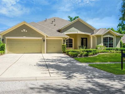 806 Red Ash Ct, Seffner, FL, 33584
