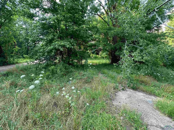 315 Tbd State Hwy, Carthage, TX 75633