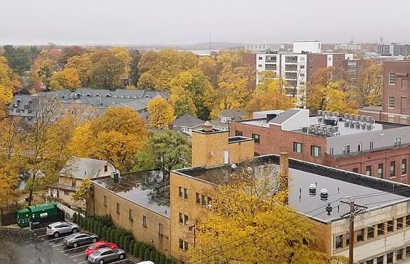 2nd image of 1025 Hancock St Unit 10M