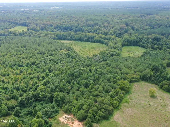 16 Hudsonville Rd, Holly Springs, MS 38635