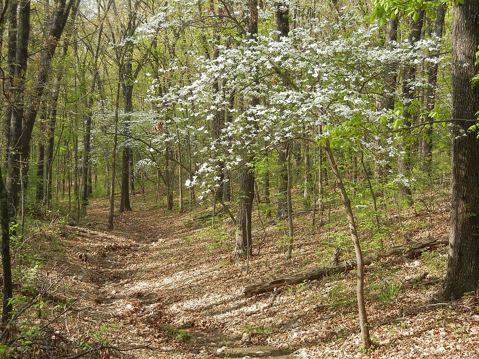 68.73 Acres