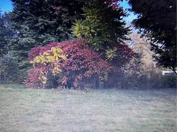 8129 South Ave, Youngstown, OH 44512