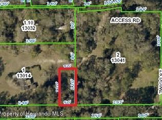 914 Twigg St, Brooksville, FL 34601