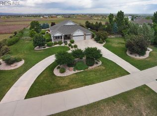 8334 Steeplechase Dr, Windsor, CO 80550