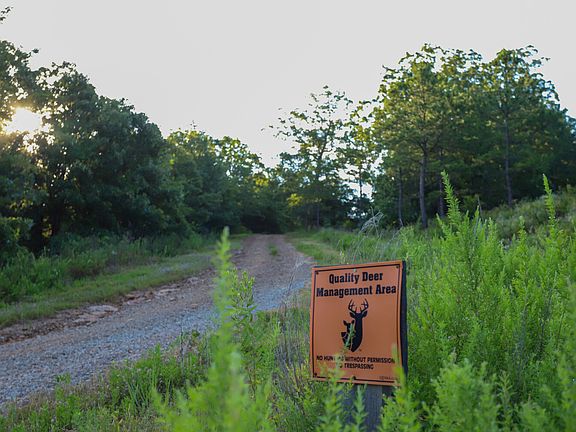 3rd image of 31580 W County Road 1260