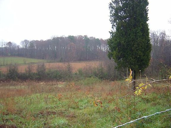 3rd image of 8011 Zz Manakel Dr