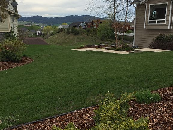 Front yard