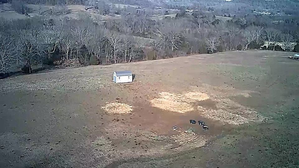 1st image of 4229 Burton Ct