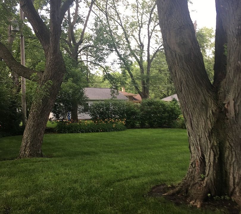2nd image of 209 Elmwood Dr