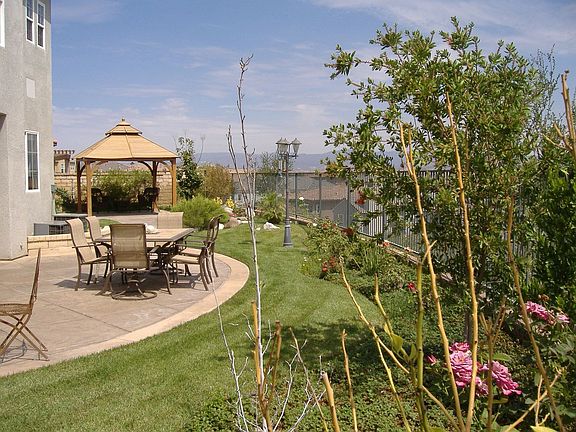 Backyard Scene