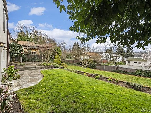 Massive backyard oasis