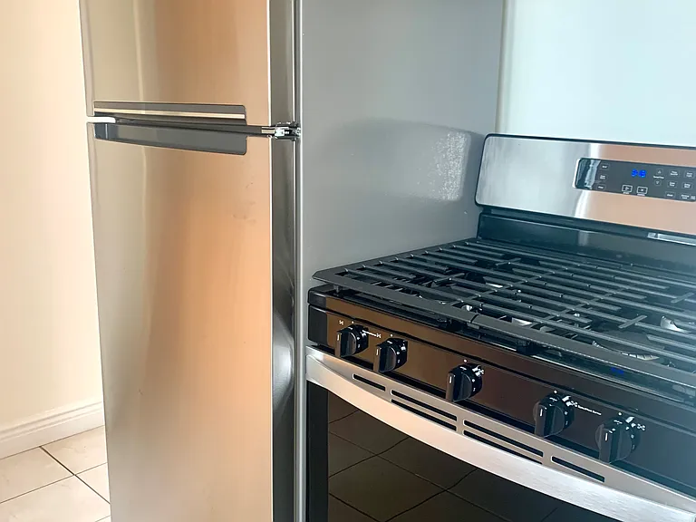 Stainless Steel Gas Stove and Refrigerator