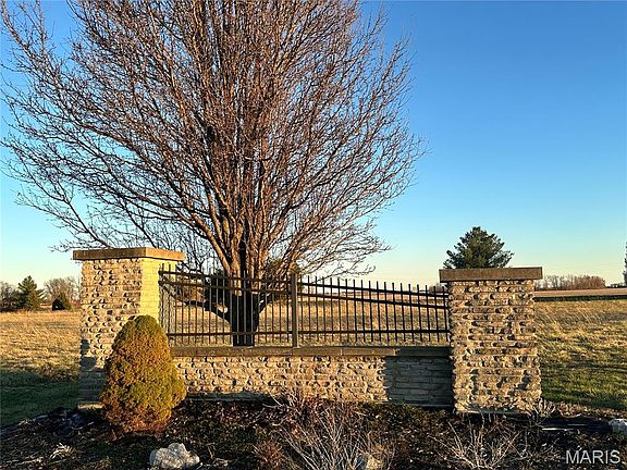 2nd image of Tortoise Trl