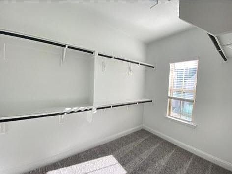 5th image of 4721 Piedras Lanzar Dr