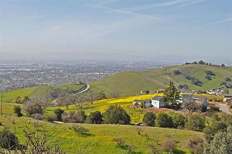 Panoramic View