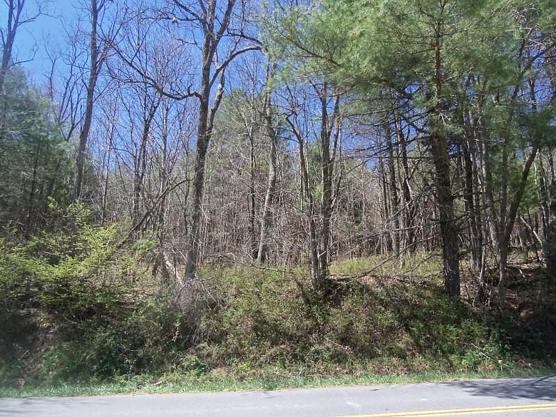 1st image of Tract 2 Christiansburg Pike NE