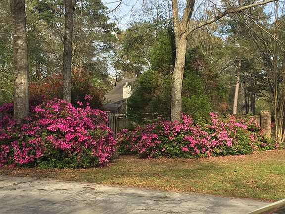 Drive on Shenandoah Trails