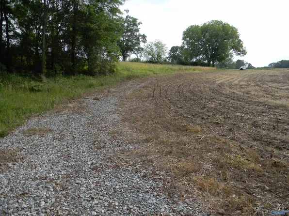 /county Rd #40, Centre, AL 35960