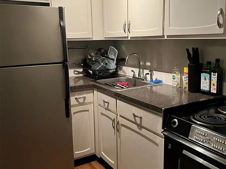 777 N Michigan Ave #1504 — Photo 8