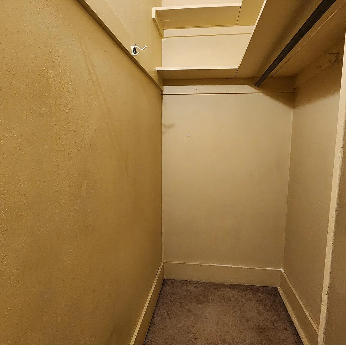 Studio, $600 — Photo 4