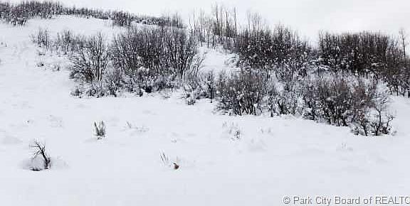 4th image of 3757 Aspen Camp Loop #Ac-70