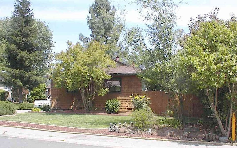 Front Yard