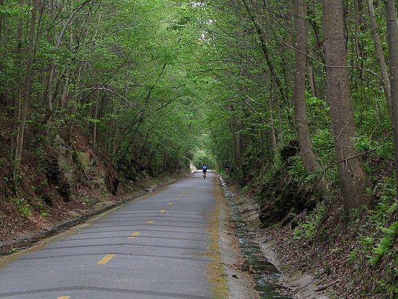 Walk/Ride-Silver Comet Trail