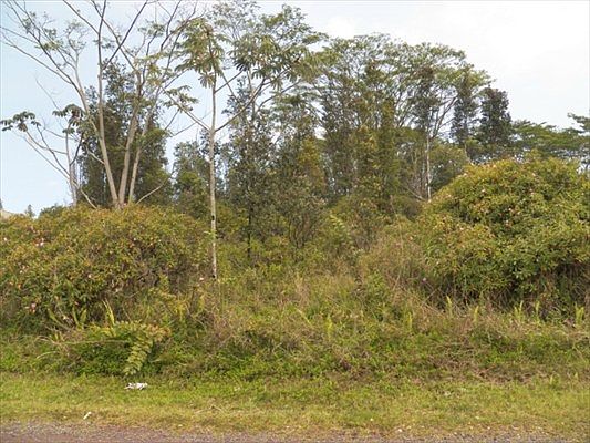 1st image of 8th Ave Lot 1053
