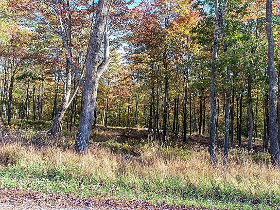 5th image of 157 Fork Run Trl