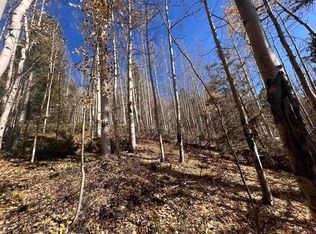 6701 Gardiner Rd, Fort Garland, CO 81133