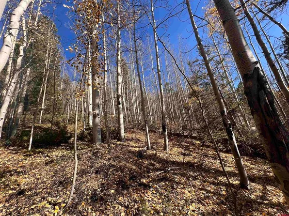 6701 Gardiner Road, Fort Garland, CO 81133