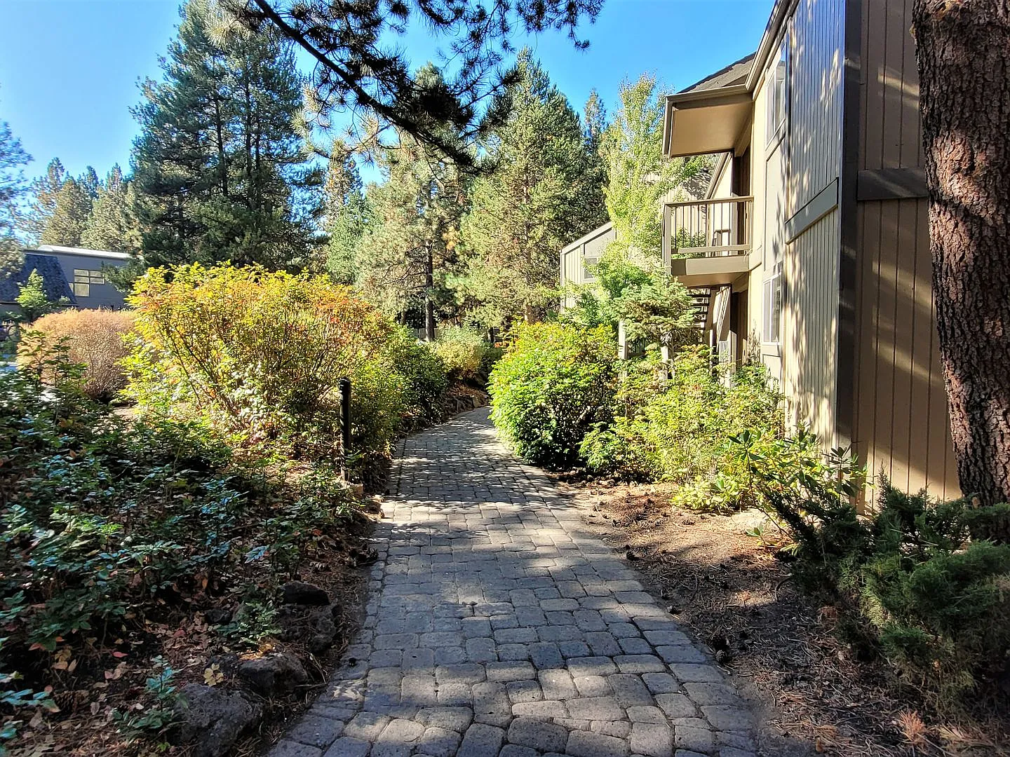 Mt. Bachelor Village Condo #207 — Photo 4