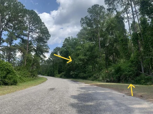Apricot Avenue Lot #9, Eustis, FL 32736