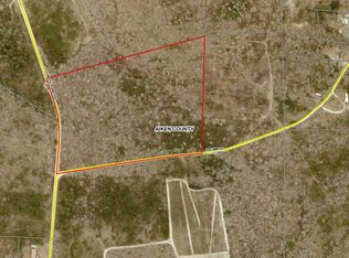 0 NE Dream Rd, Wagener, SC 29164