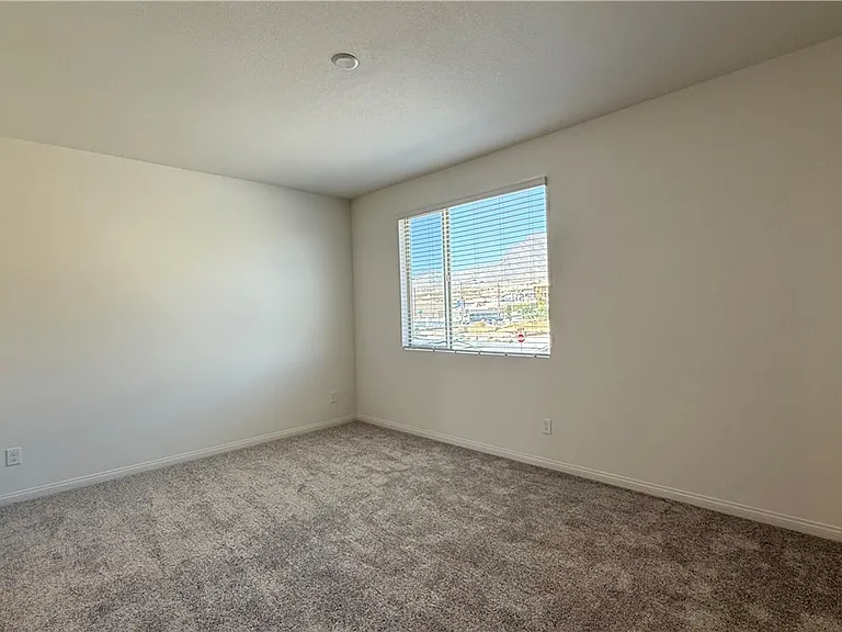 1513 Bat Hawk St — Photo 25
