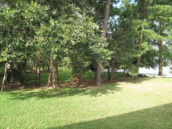 Wooded Lot