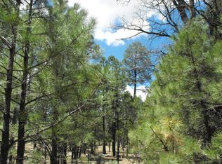3027 Durango Dr, Happy Jack, AZ 86024