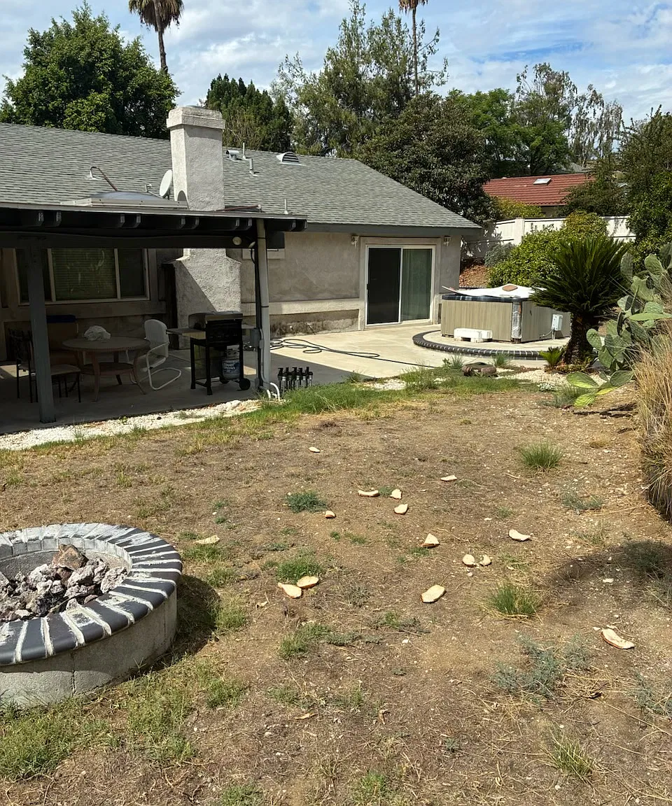 5 bed, 1723 sqft, $3,900 — Photo 4