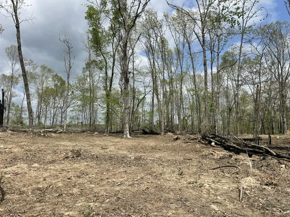 000 St Hwy N Tract E, Ava, MO 65608