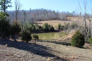 4th image of 0 Marion County #6075