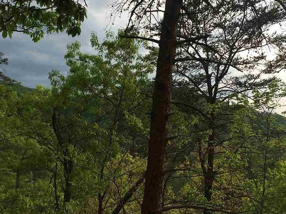 1st image of 68 Parkside Retreat Way Lot 68