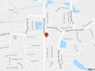 3919 Briarlake Dr, Valrico, FL 33596