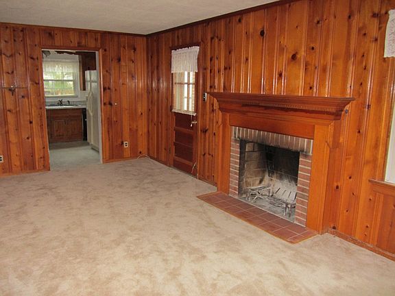 Den, working fireplace