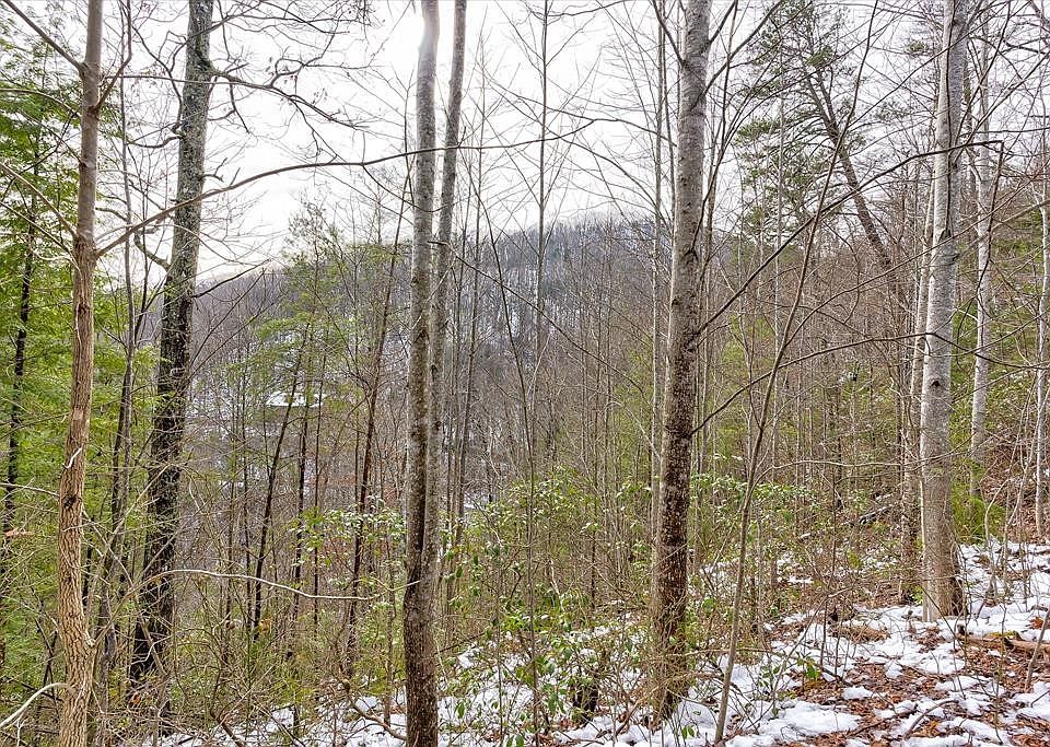 1st image of 61 Whetstone Rd Lot 61